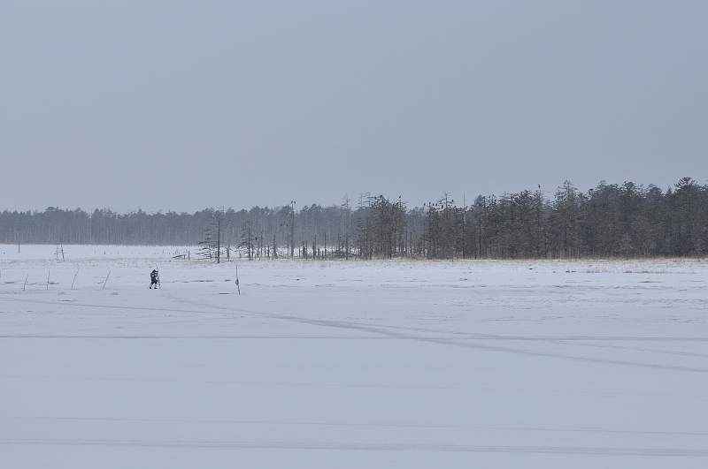 hokkaido2010_0285.jpg - @΁D؁Xɂ̃gr⃏VނƂ܂ĂD